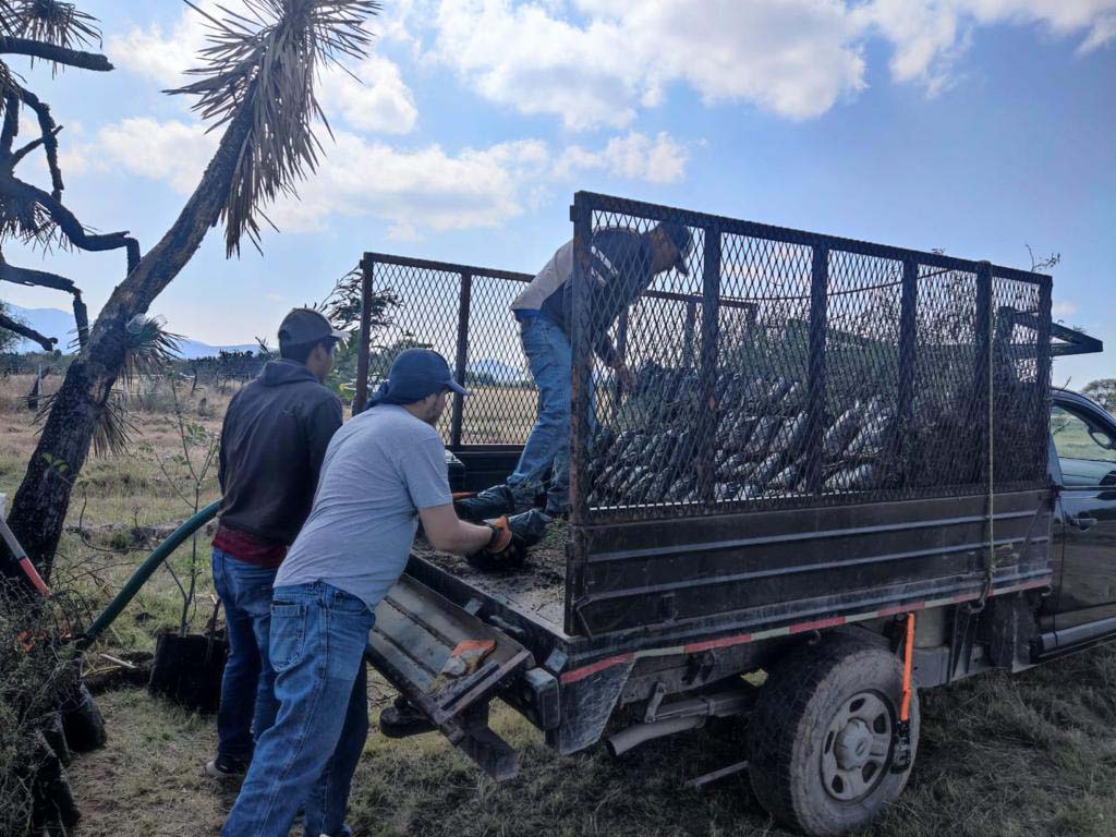 PRAMSEI: Proyectos ambientales en etapas constructivas y operativas (79)